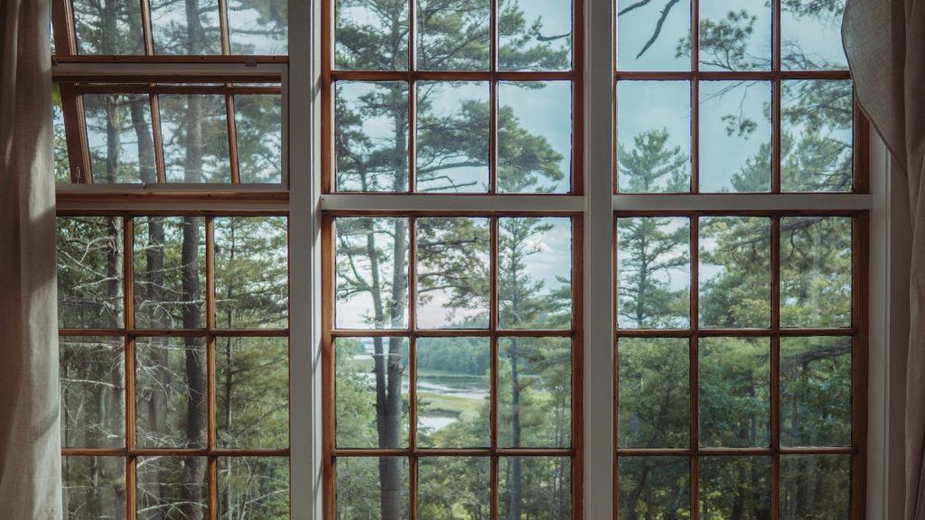 View of trees and nature through large windows